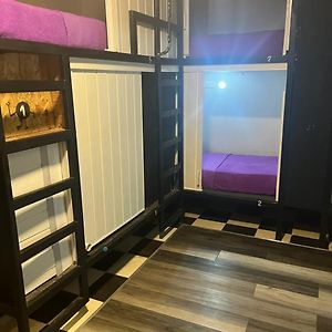 Dormitory Room Mixed